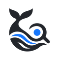 DeepSeek V4 Pro — API Access